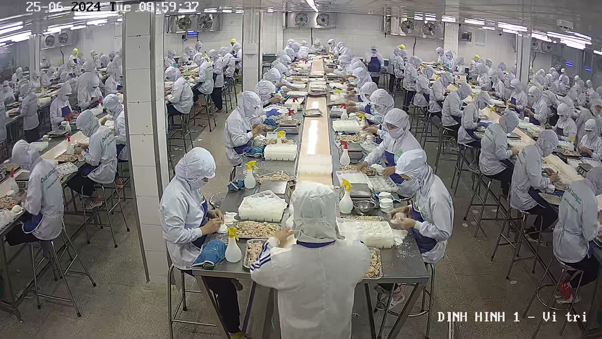 lĩnh vực hoạt động